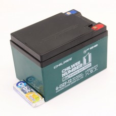 Гелевий тяговий акумулятор  GHILWEE  6-DZF-12 - 12A/H