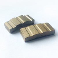 Сегмент CEDIMA 10005013