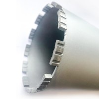 Сегмент CEDIMA 10005014