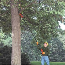 Висоторіз акумуляторний зі штангою BLACK+DECKER GPC1820L20