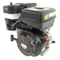 Двигун бензиновий Iron Angel FAVORITE 389-S/25B (2001286)