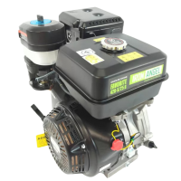 Двигун бензиновий Iron Angel FAVORITE 420-S/25B (2001287)