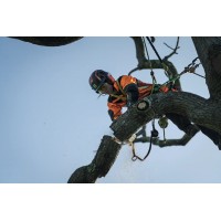 Акумуляторна ланцюгова пилка Husqvarna T540iXP (9705723-14) (без АКБ та ЗП)