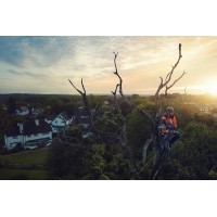 Акумуляторна ланцюгова пилка Husqvarna T540iXP (9705723-14) (без АКБ та ЗП)