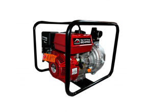 Мотопомпи для поливу